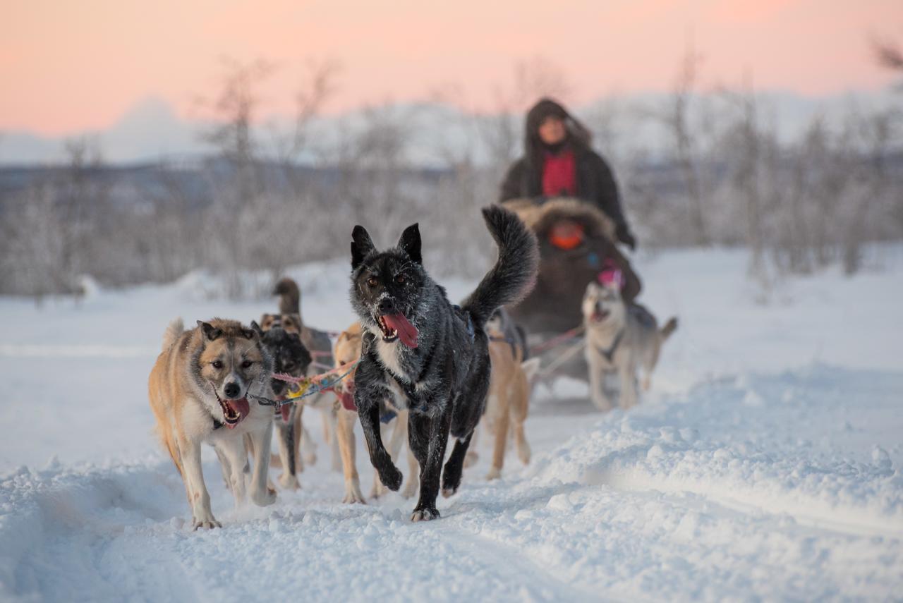 Frühstückspension Husky Kiruna