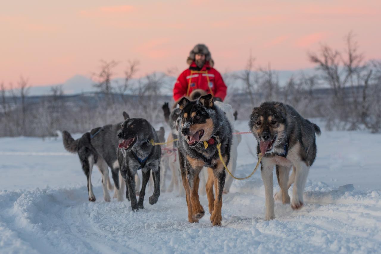 Frühstückspension Husky Kiruna